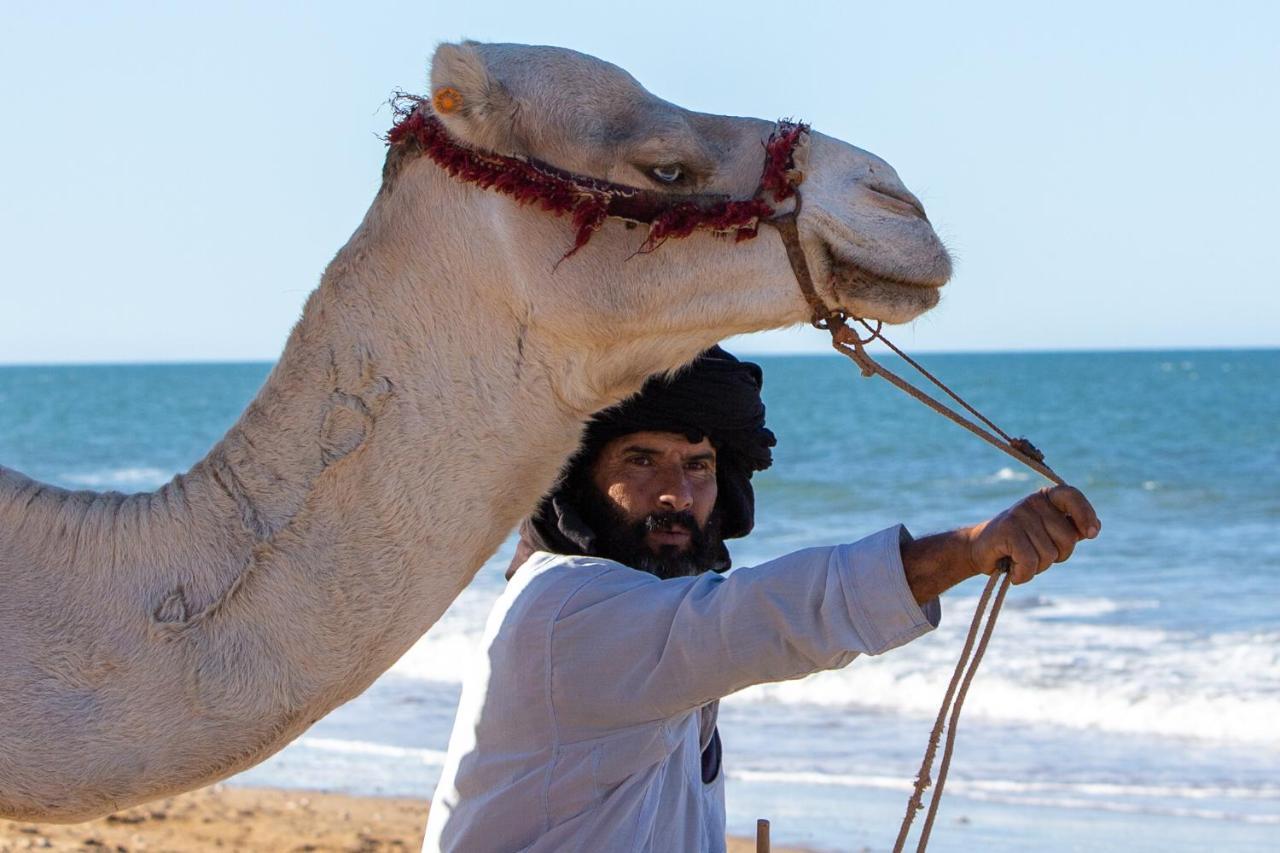 לינה וארוחת בוקר Tamraght Sunshine Surf Morocco מראה חיצוני תמונה
